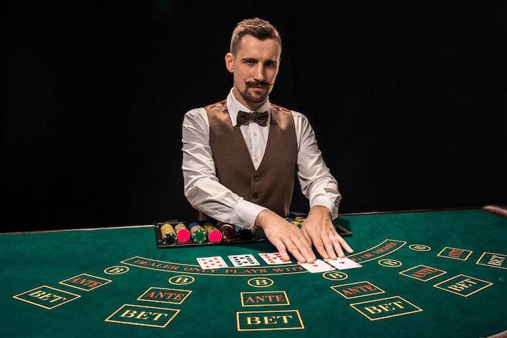 French Roulette Game